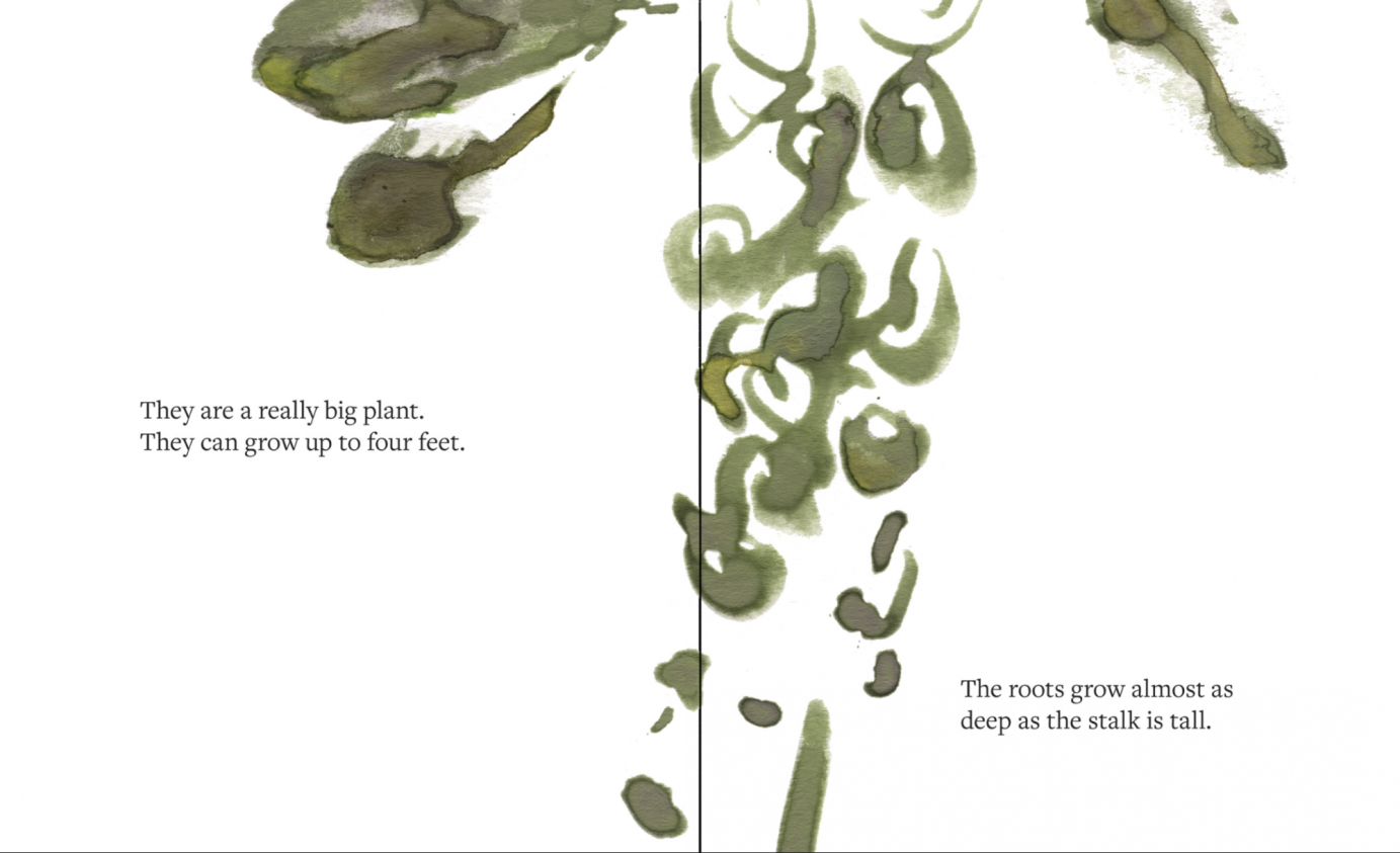 Three winter vedgetables