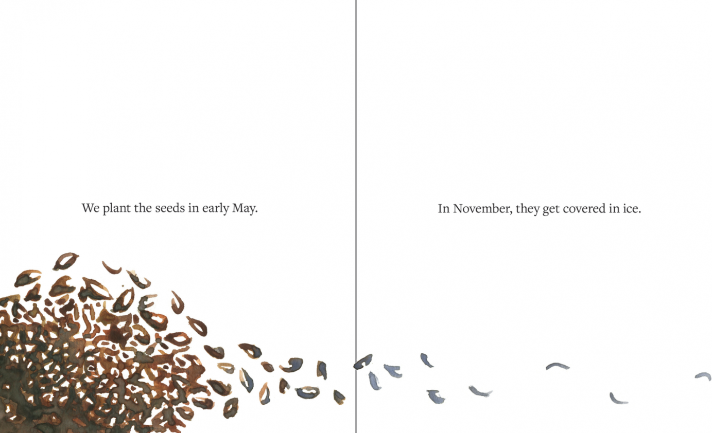 Three winter vedgetables