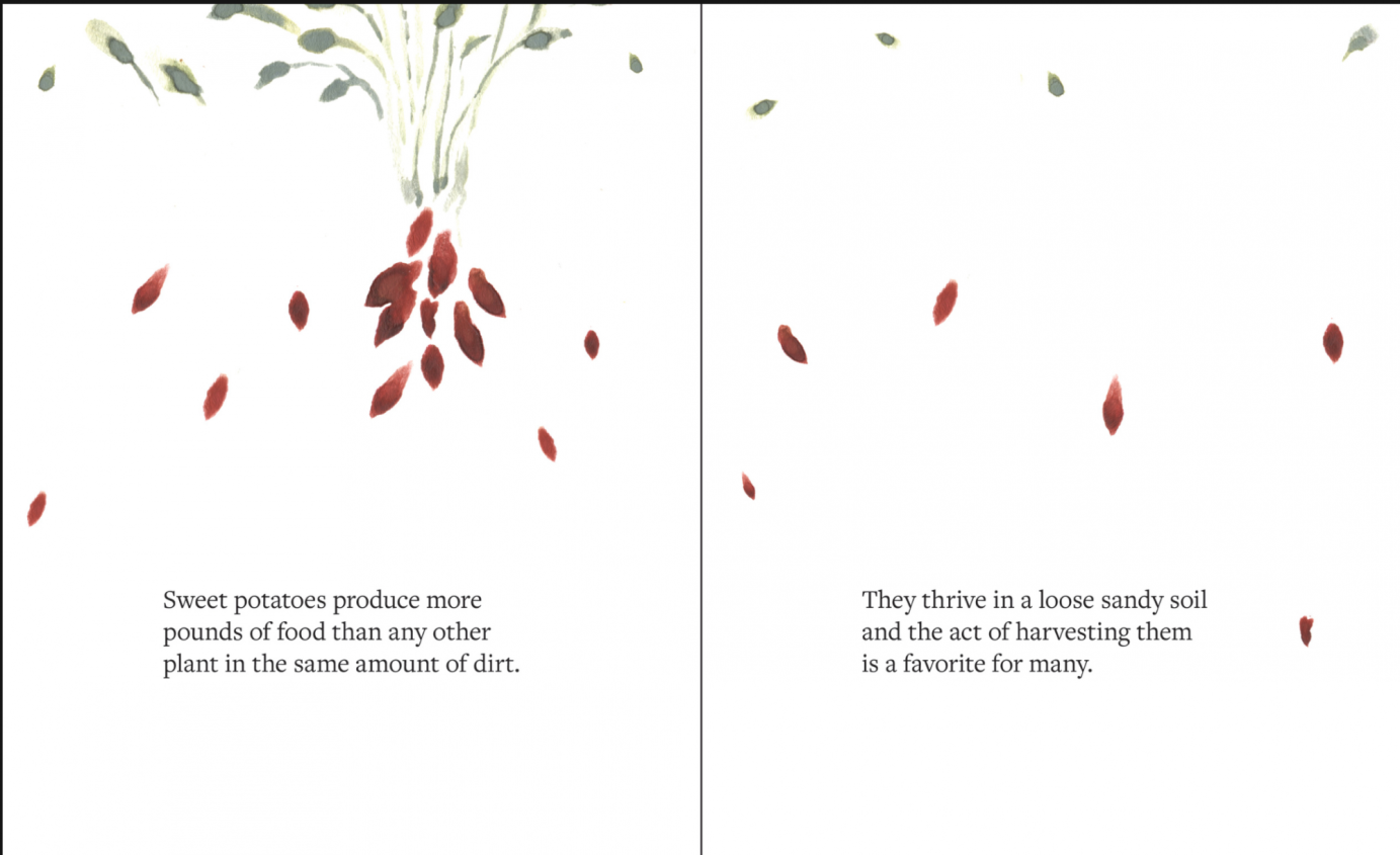 Three winter vedgetables