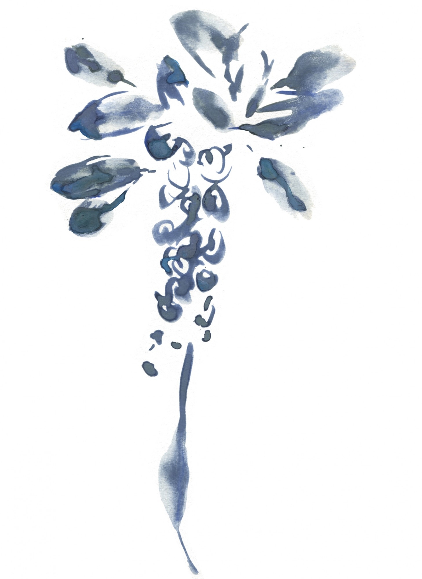 Three winter vedgetables