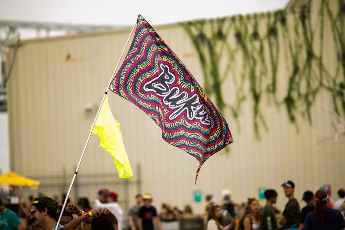 BUKU Festival Branding