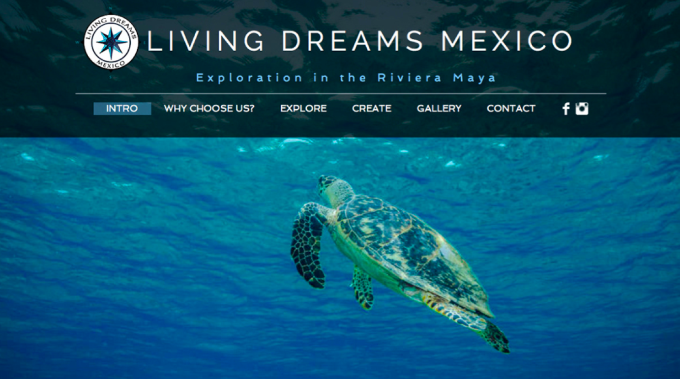 Living Dreams Mexico