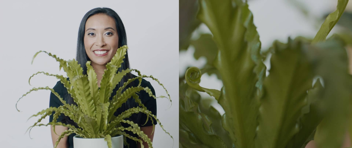 Reside Moments: Bring Your Garden Inside