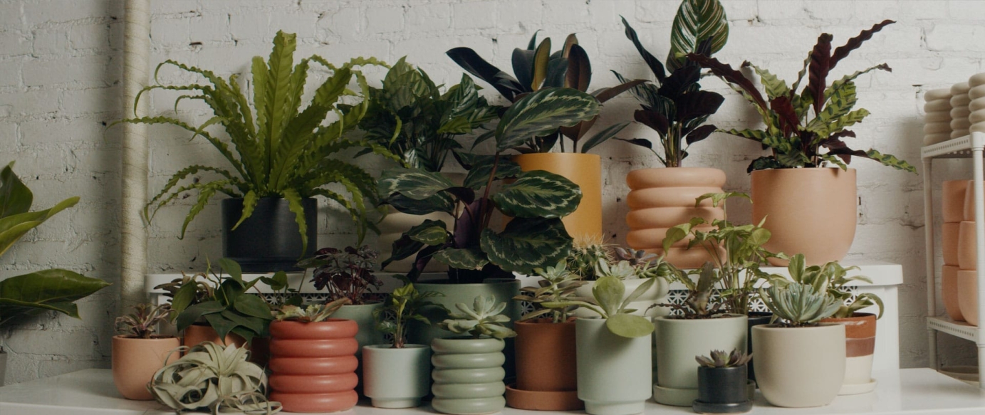 Reside Moments: Bring Your Garden Inside