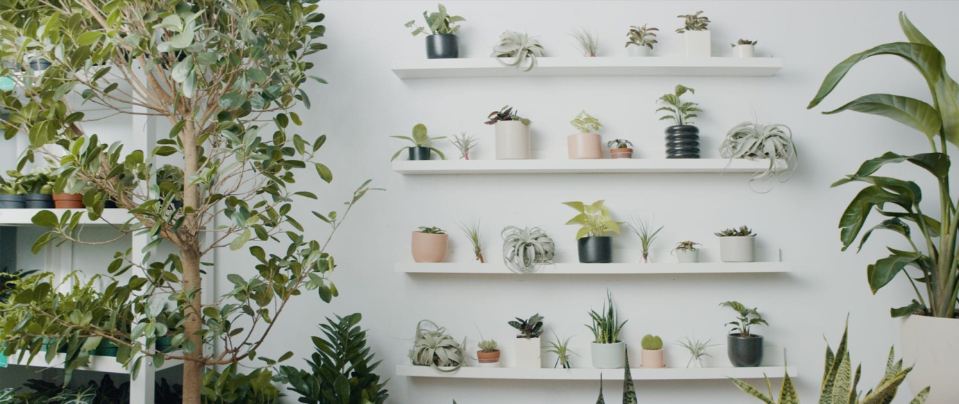 Reside Moments: Bring Your Garden Inside