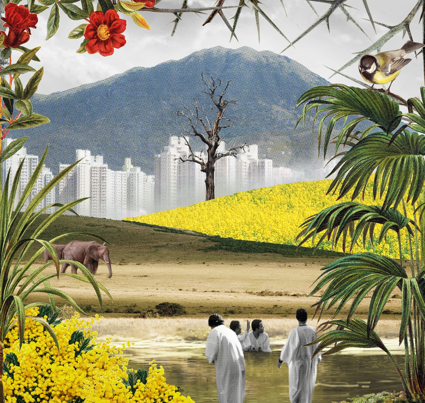 Junior Garr - The Garden Album & Singles Artwork