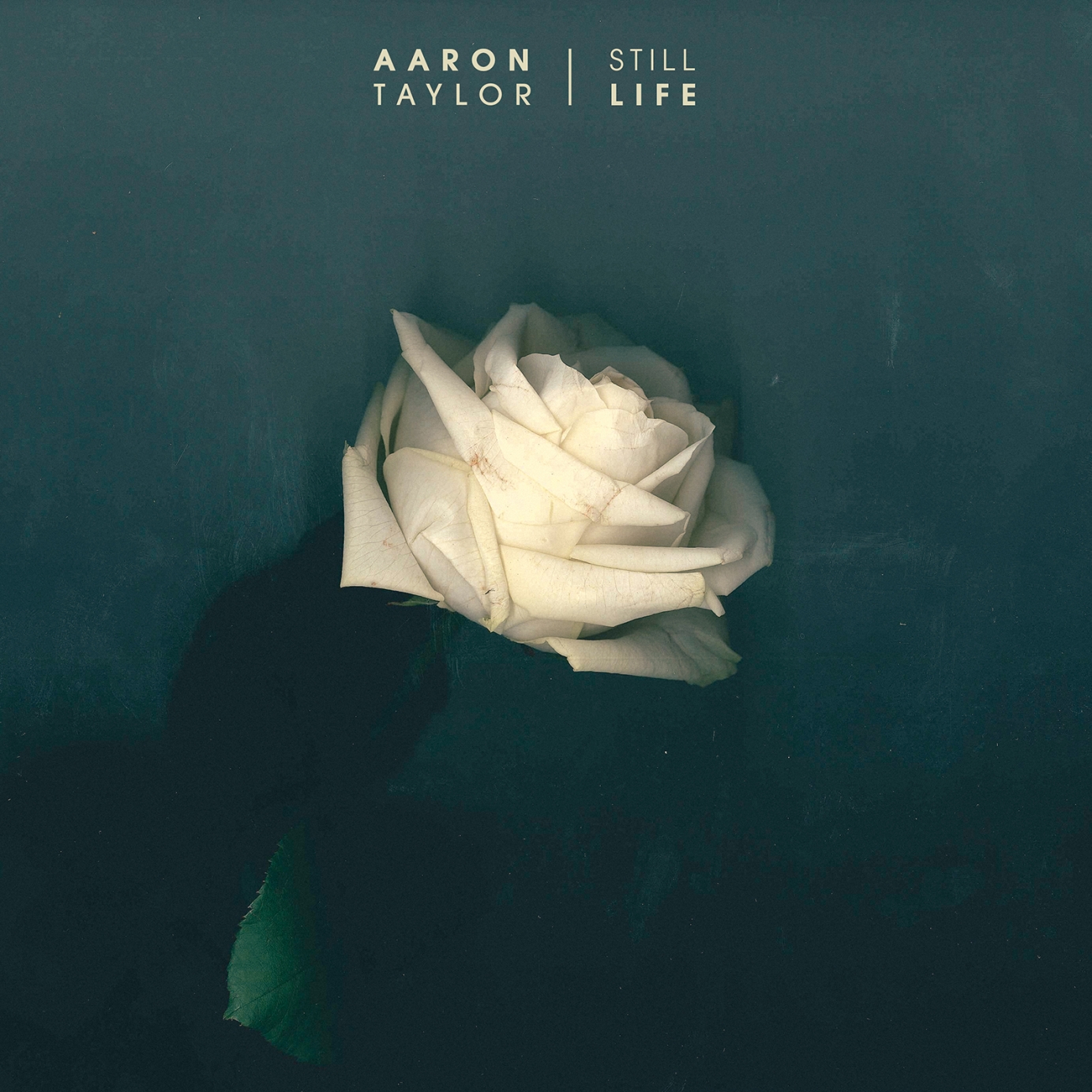 Aaron Taylor - Still Life Cover Art & Press Shots