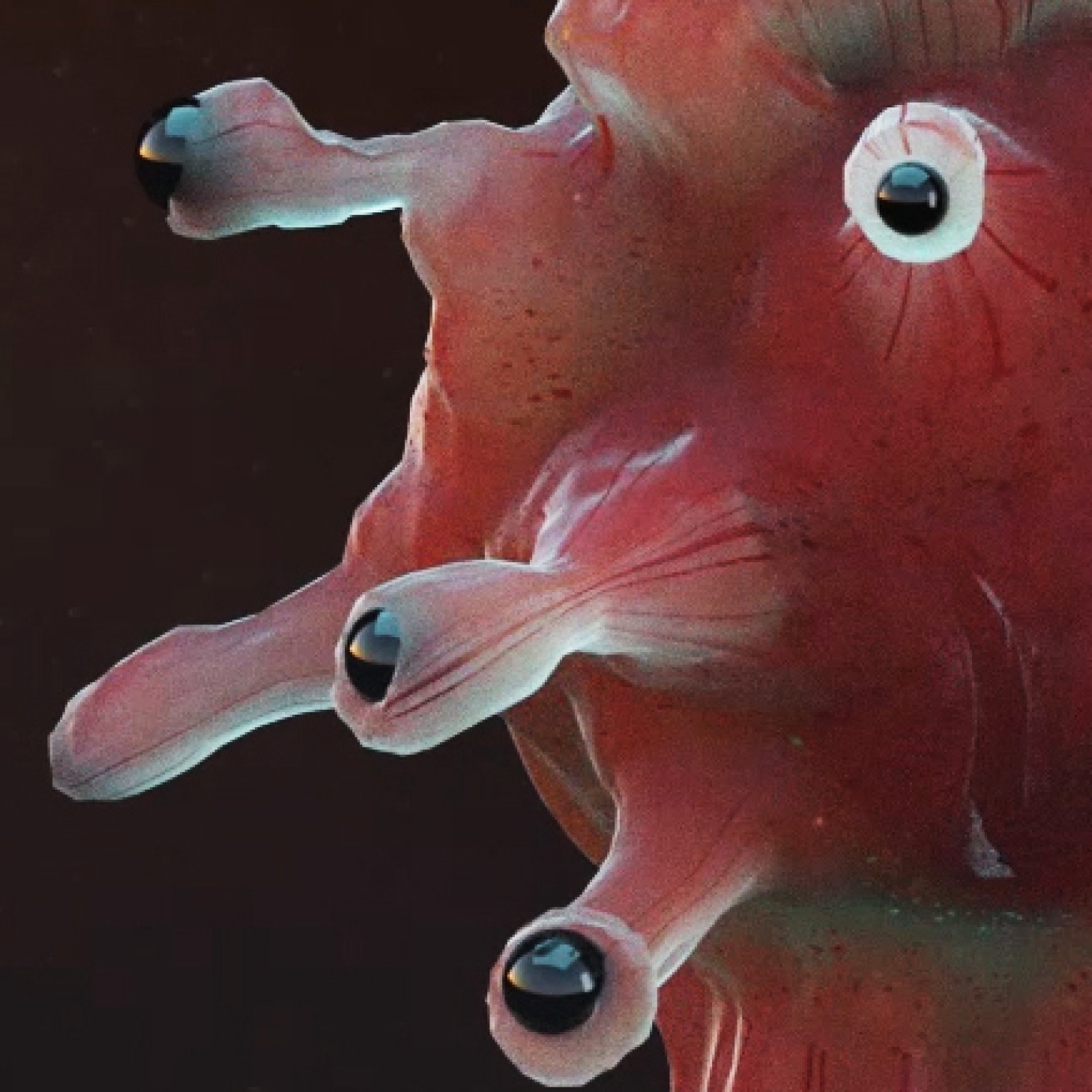 Being - Brand Identity