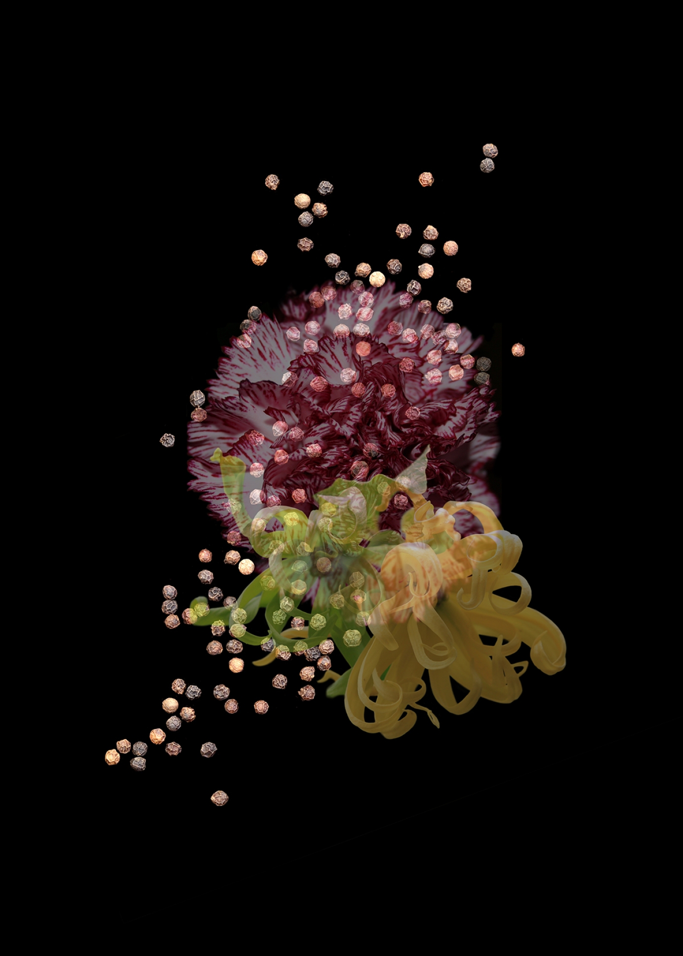 D&G Velvet Collection