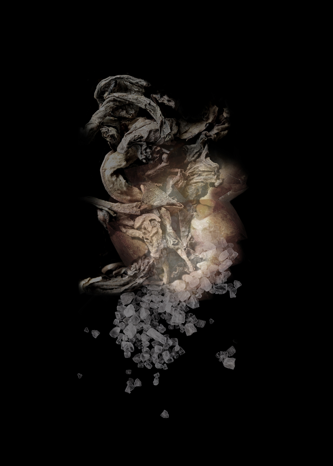 D&G Velvet Collection