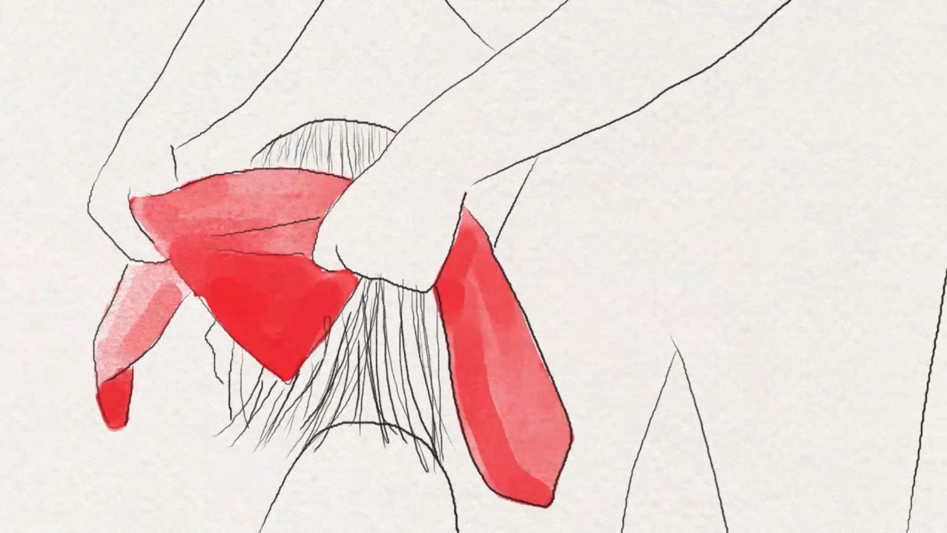 Red Roadrunner 2020 Demo Reel