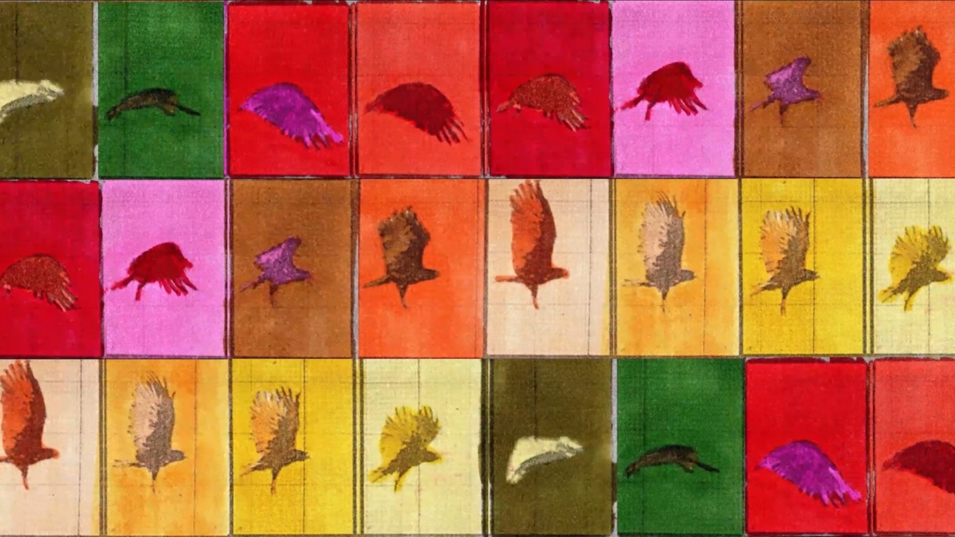 Red Roadrunner 2020 Demo Reel