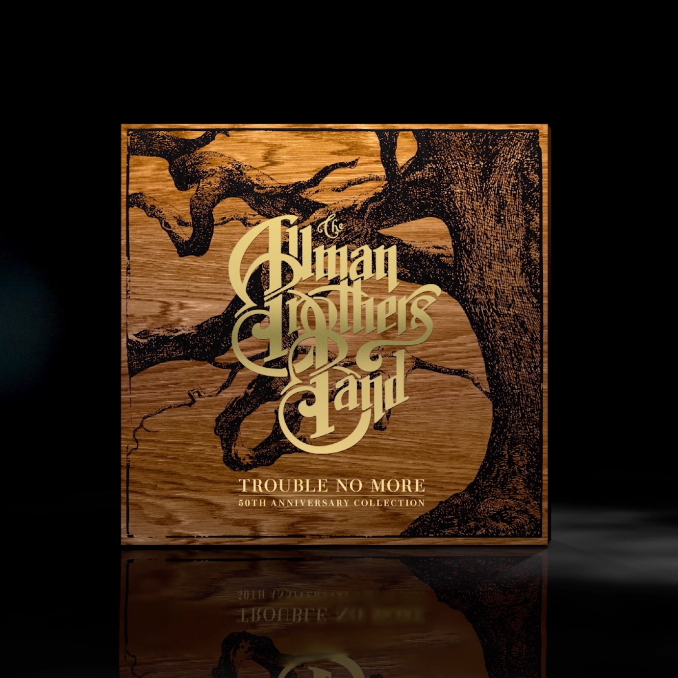 Allman Brothers Band - Trouble No More