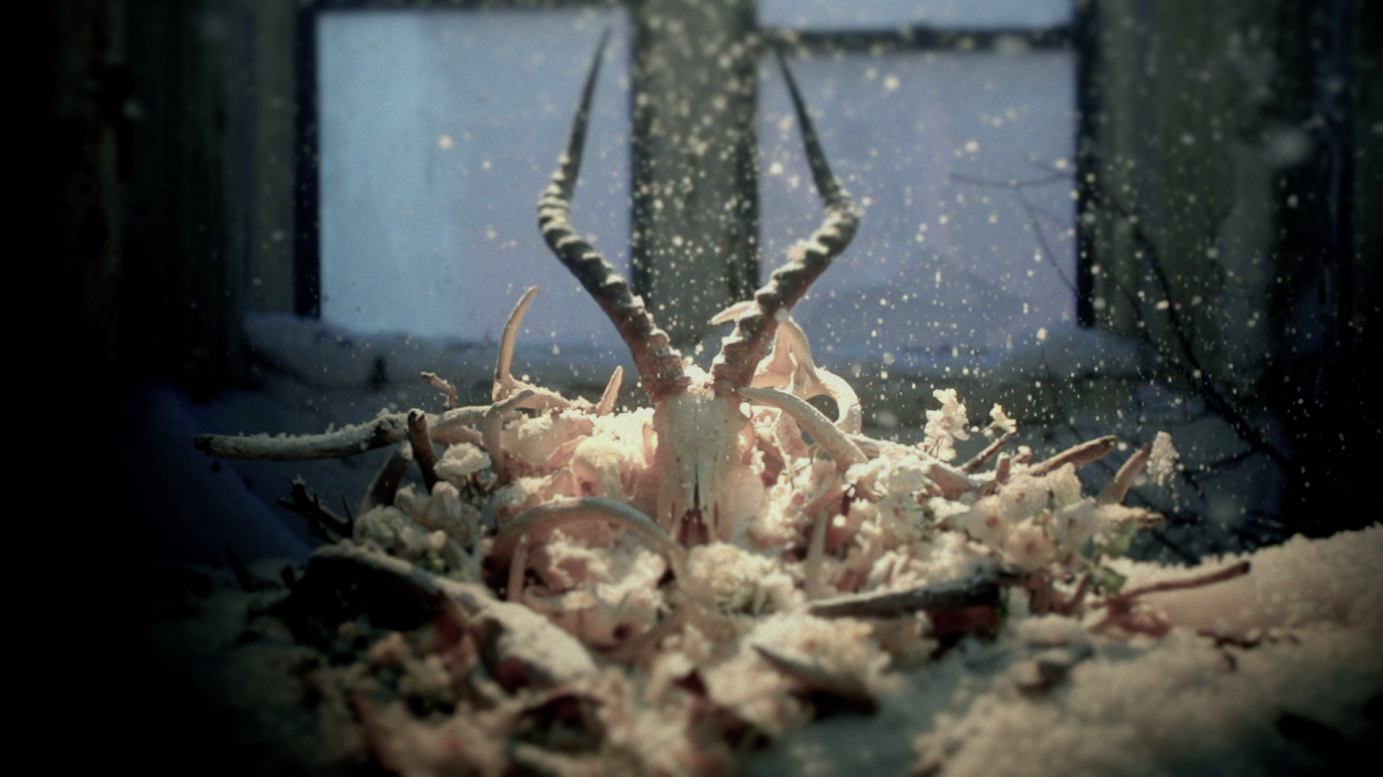 Soundgarden - Been Away Too Long