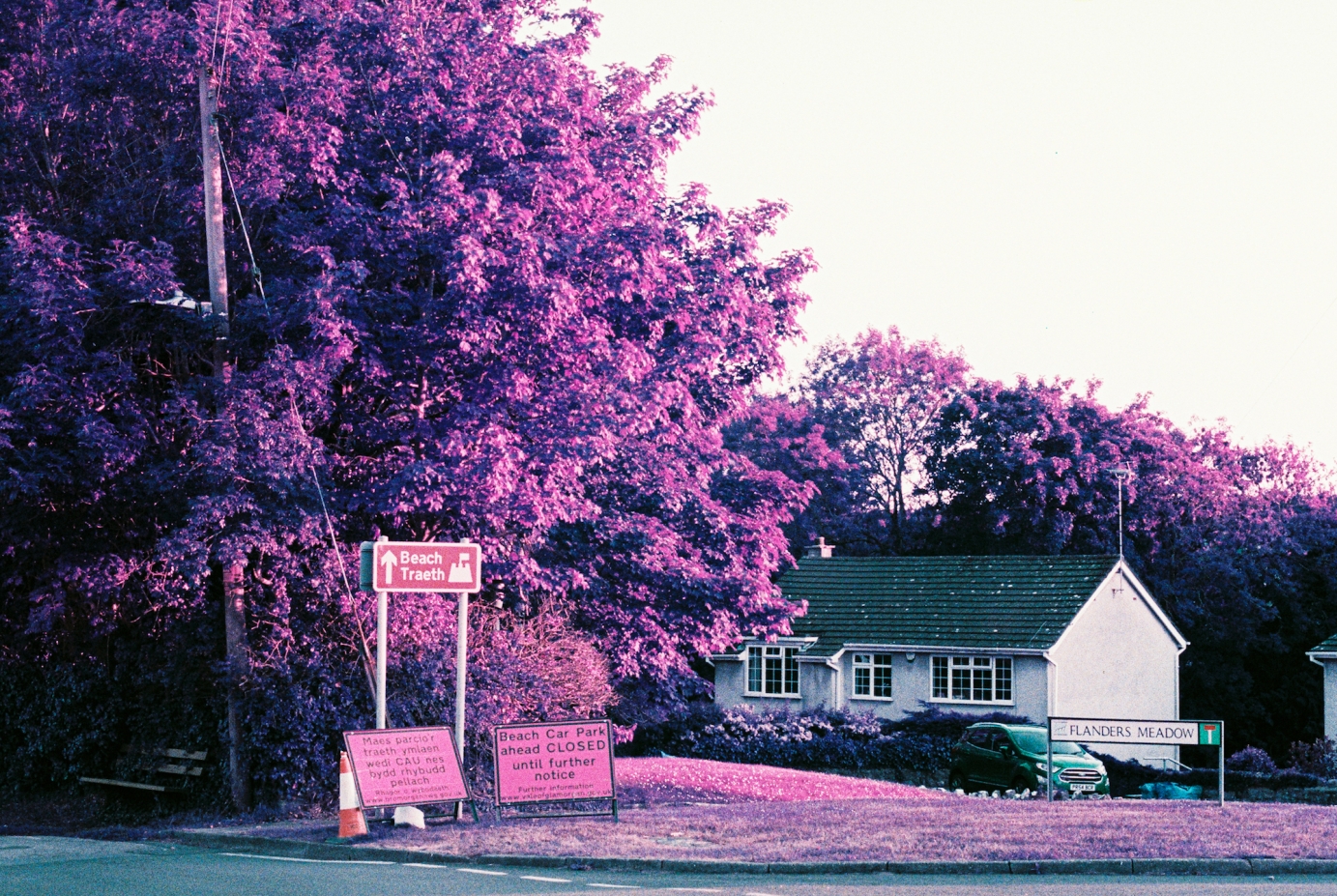 The New Abnormal photo series