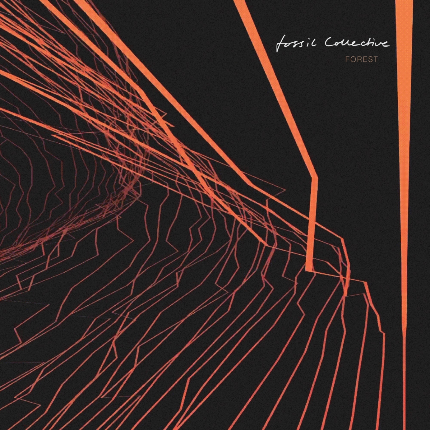 Artwork for Fossil Collective by Nought Design