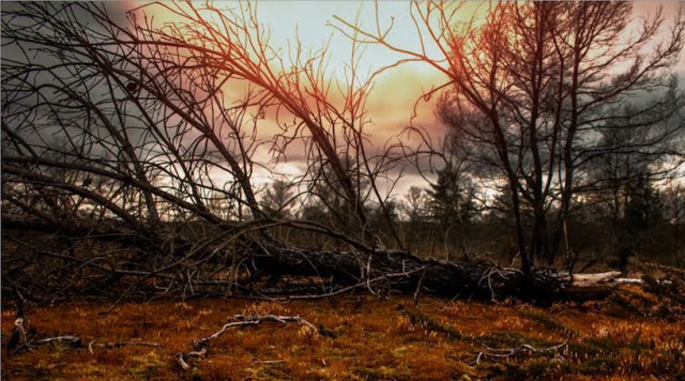 MESSENGER - Somniloquist (Official Music Video)