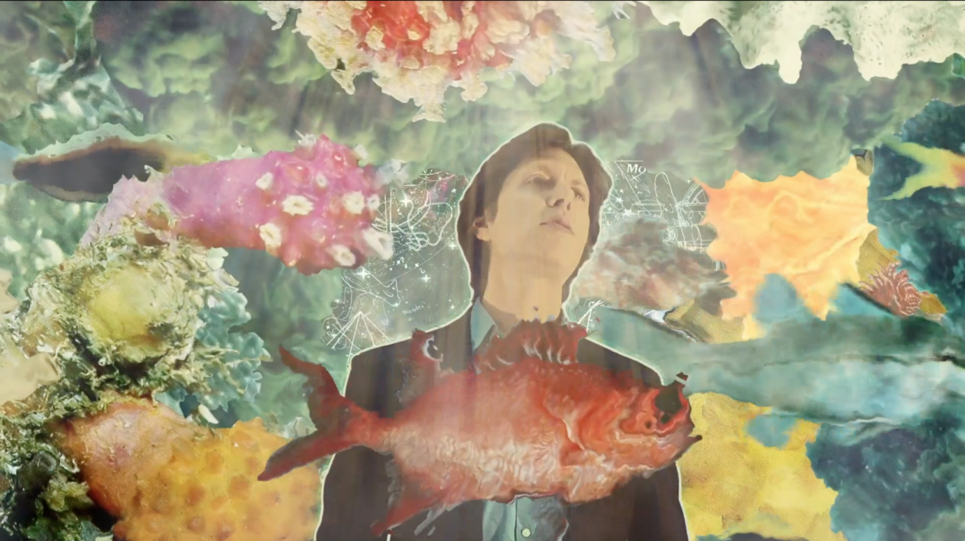 The Haze Music Video