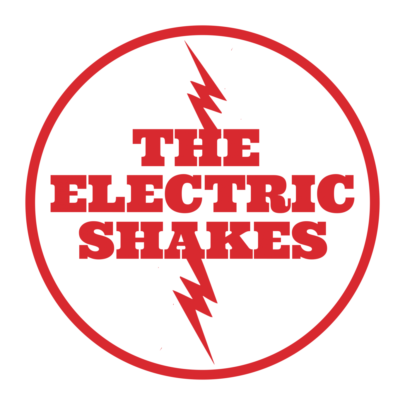Single Sleeve, C.D and Branding The Electric Shakes