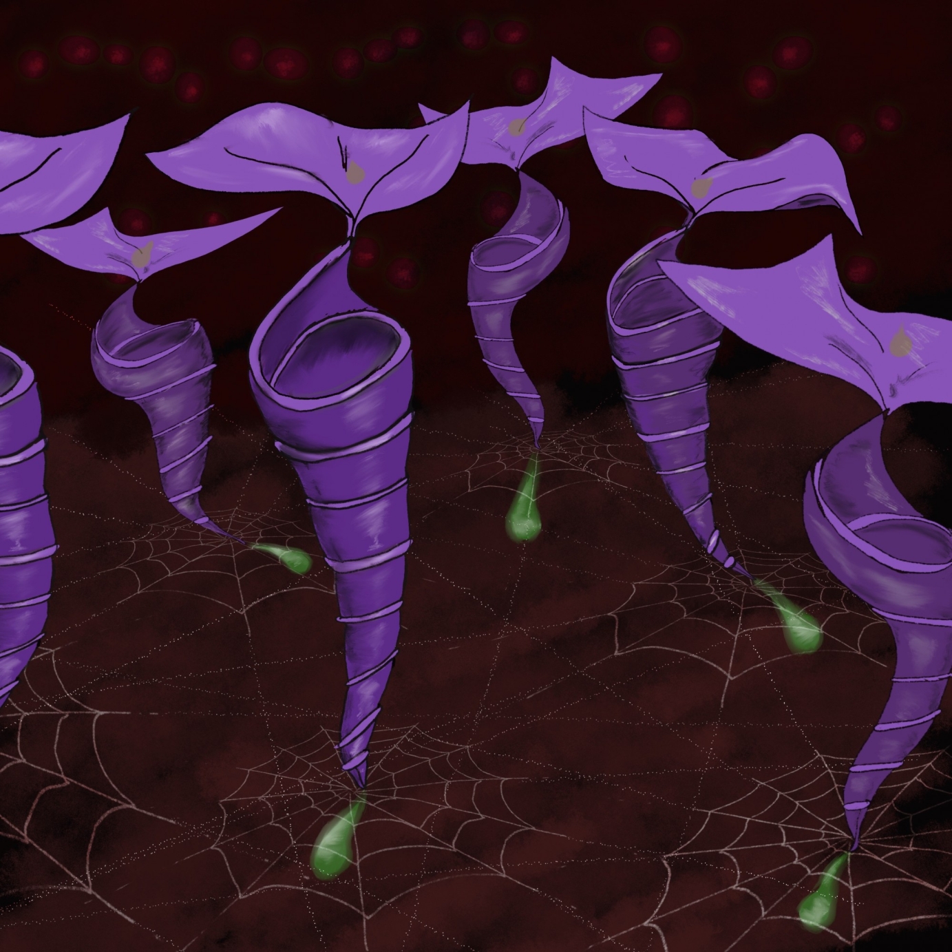 Parallel Universe Project