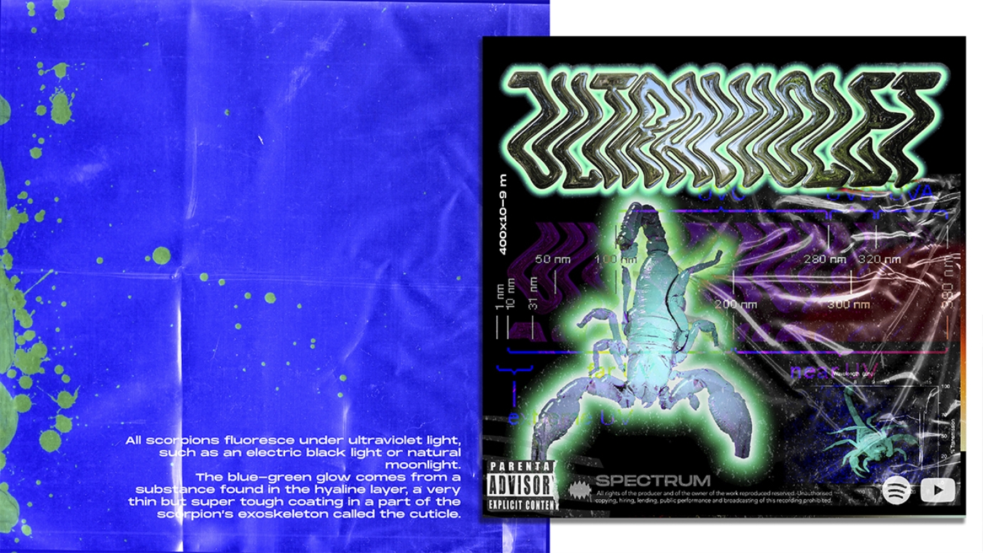 Ultraviolet Vinyl Cover