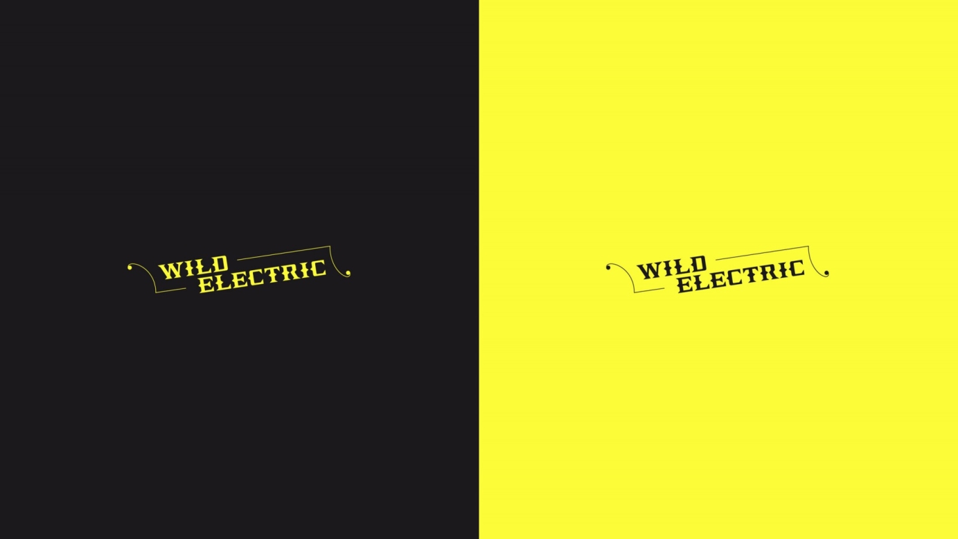 Wildelectric