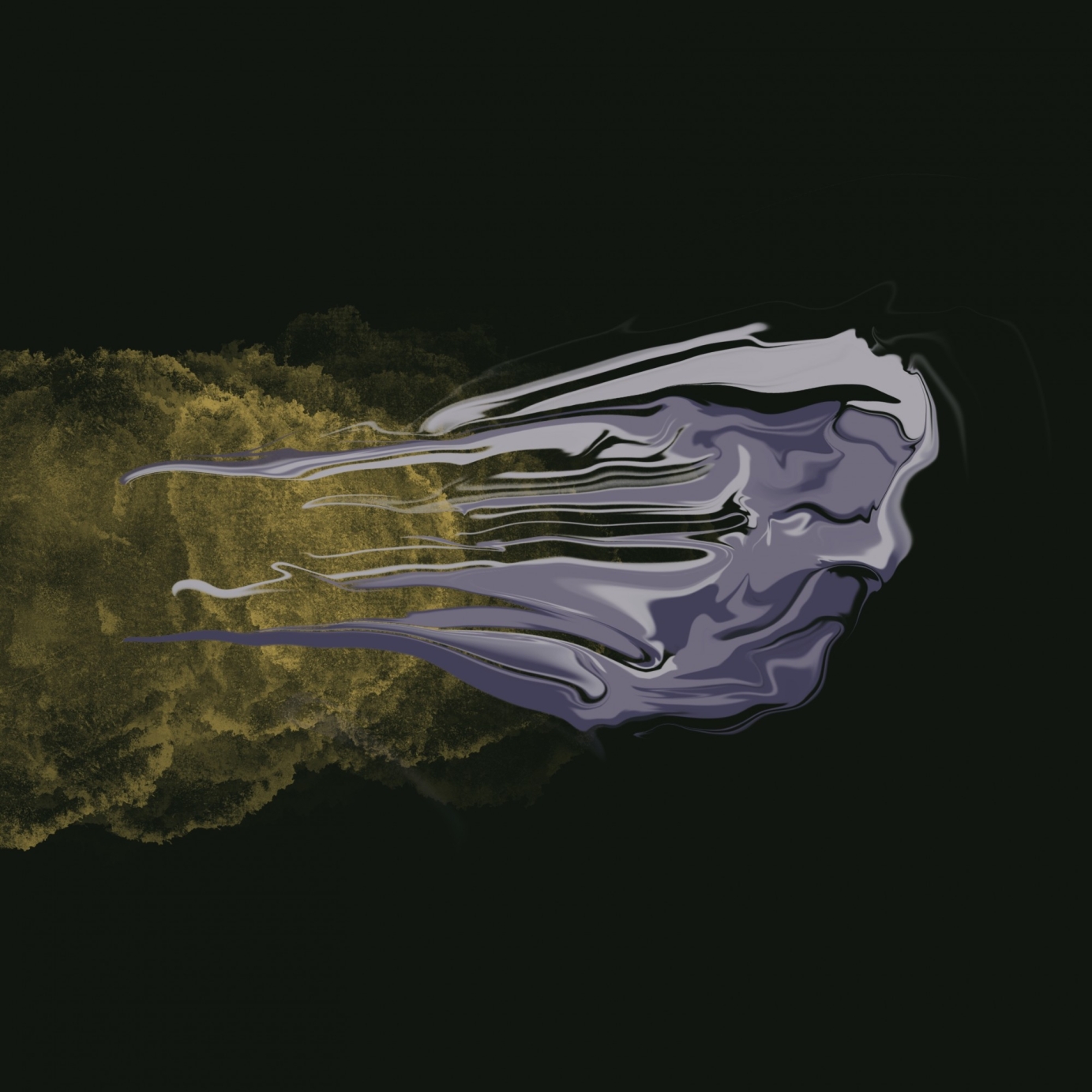 Parallel Universe Project