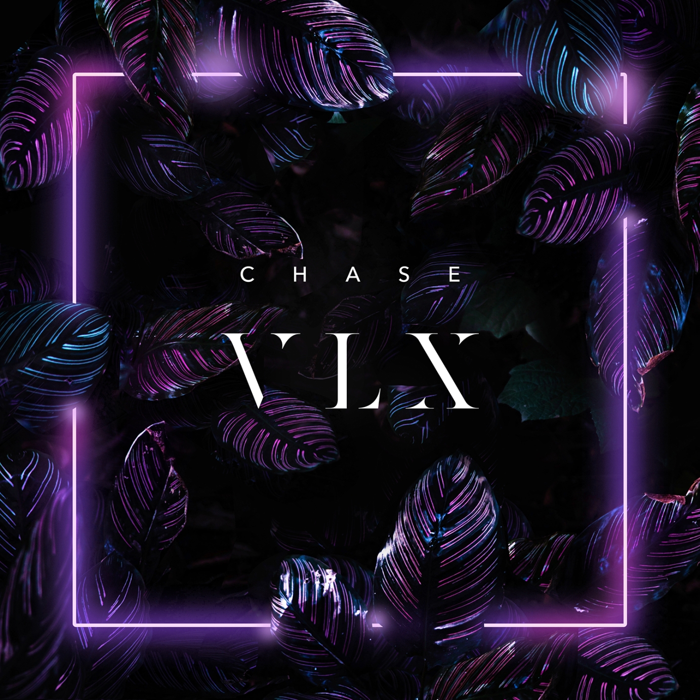 vlx-chase.jpg