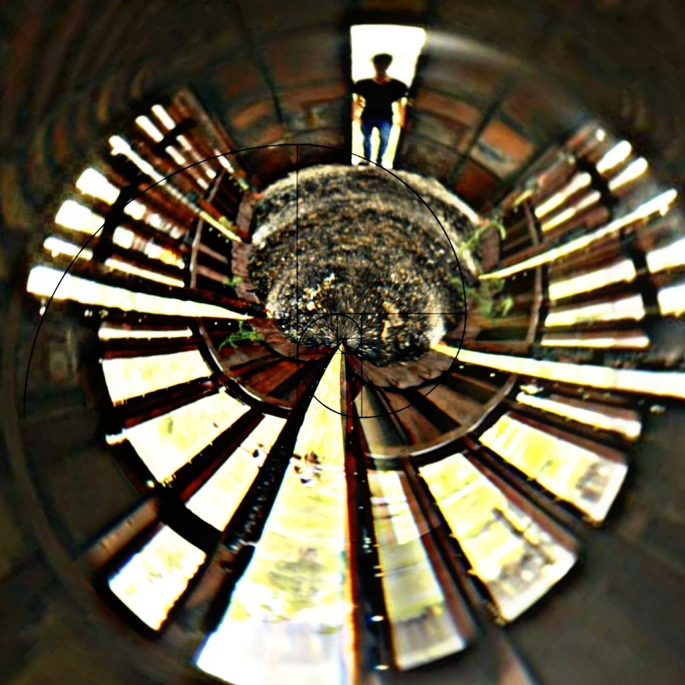 Visible Spectrum_Season_19