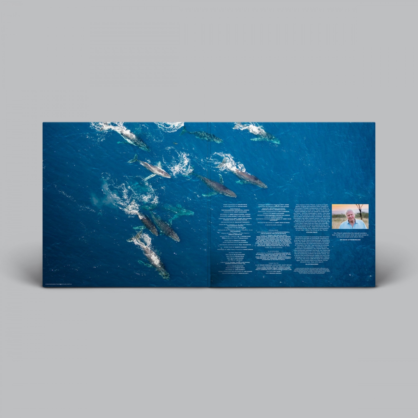 Our Planet (Music from the Netflix Original Series)