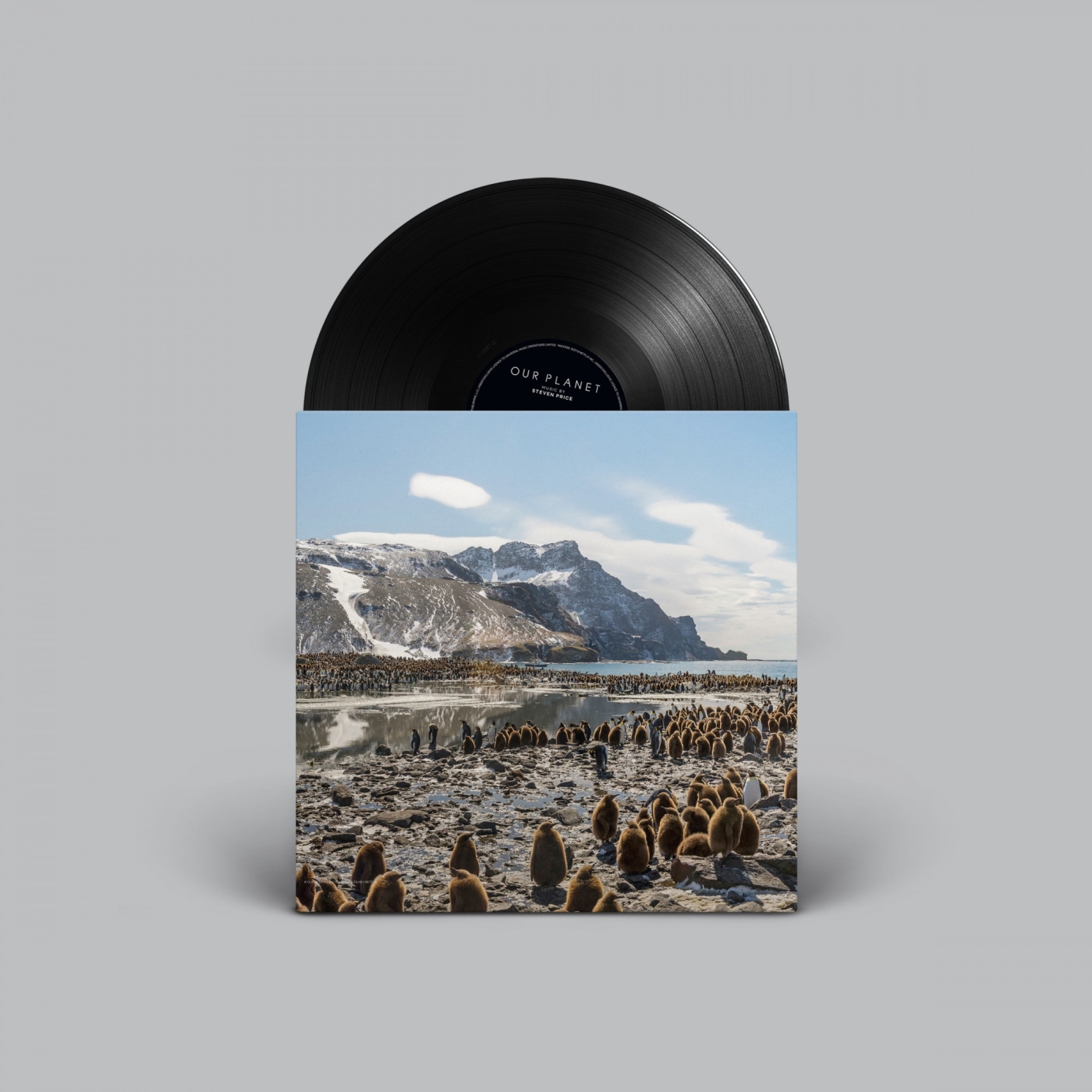 Our Planet (Music from the Netflix Original Series)