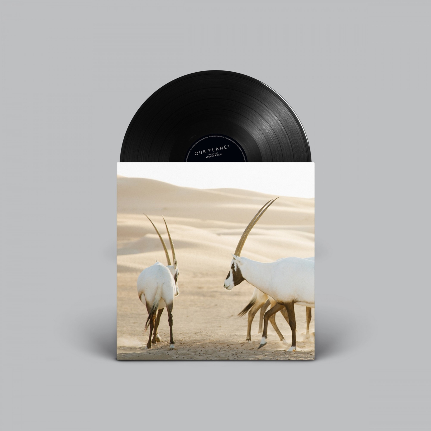 Our Planet (Music from the Netflix Original Series)