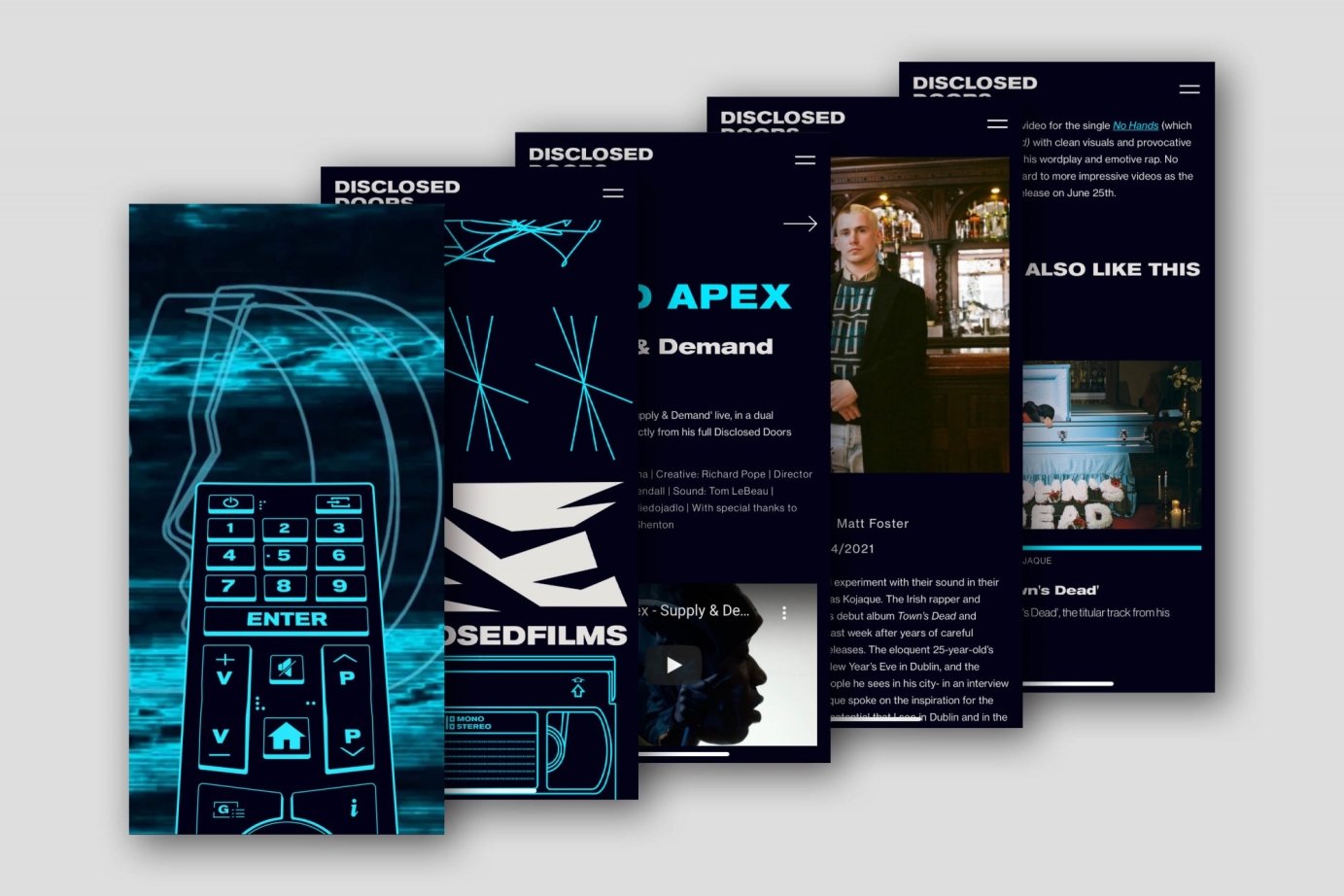 Disclosed Doors Website