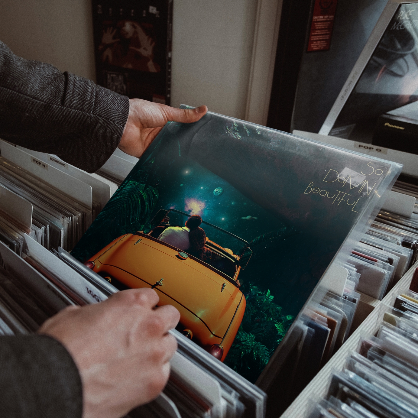 Curse Of Lono - So Damn Beautiful