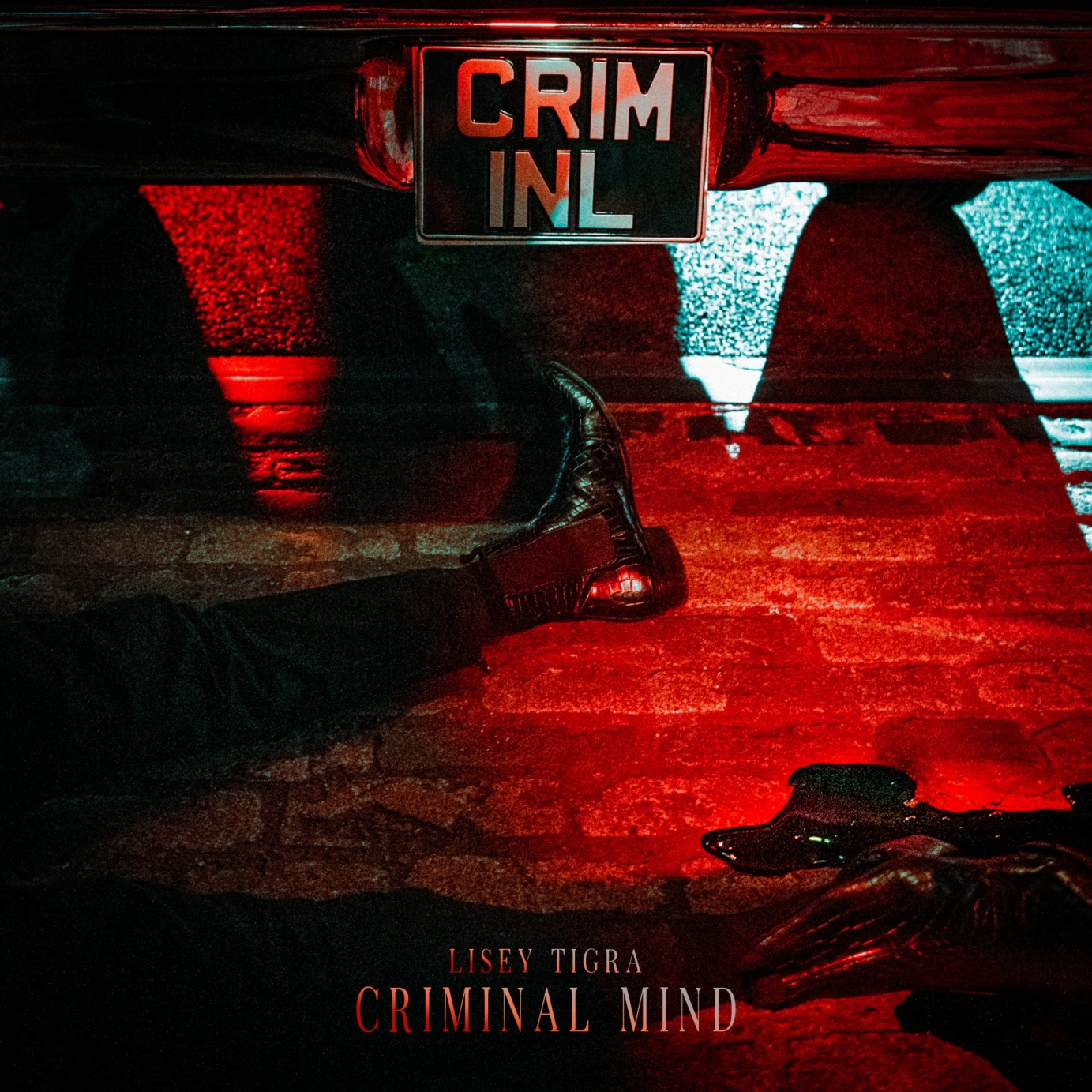 CRIMINAL MIND - LISEY TIGRA