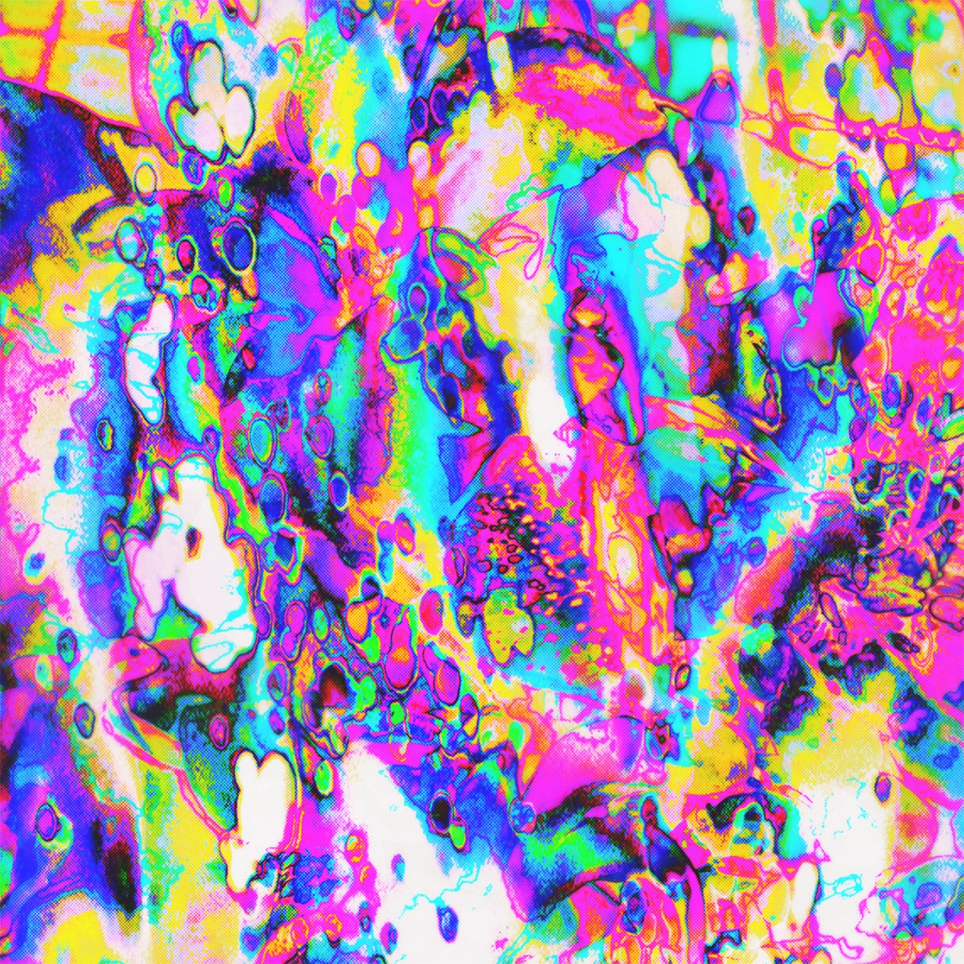 XCOLLAB project, 2021