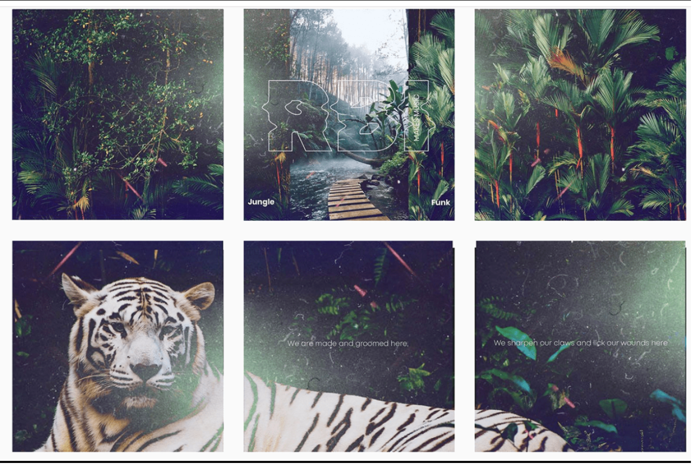 RBI Logo and Single artwork