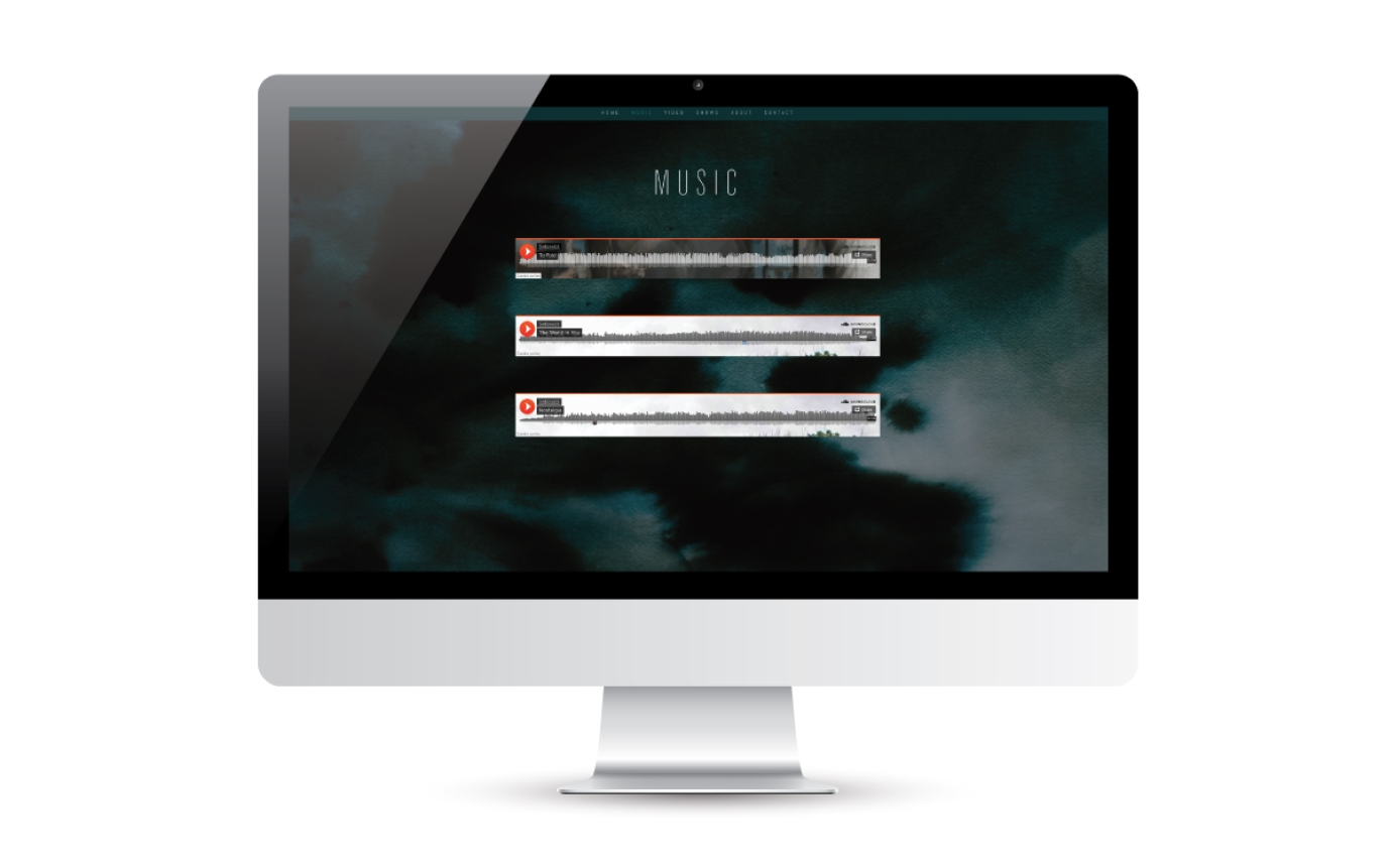 Album Art, Promo Poster, Photography, Website, & T-shirt for Sedgewick