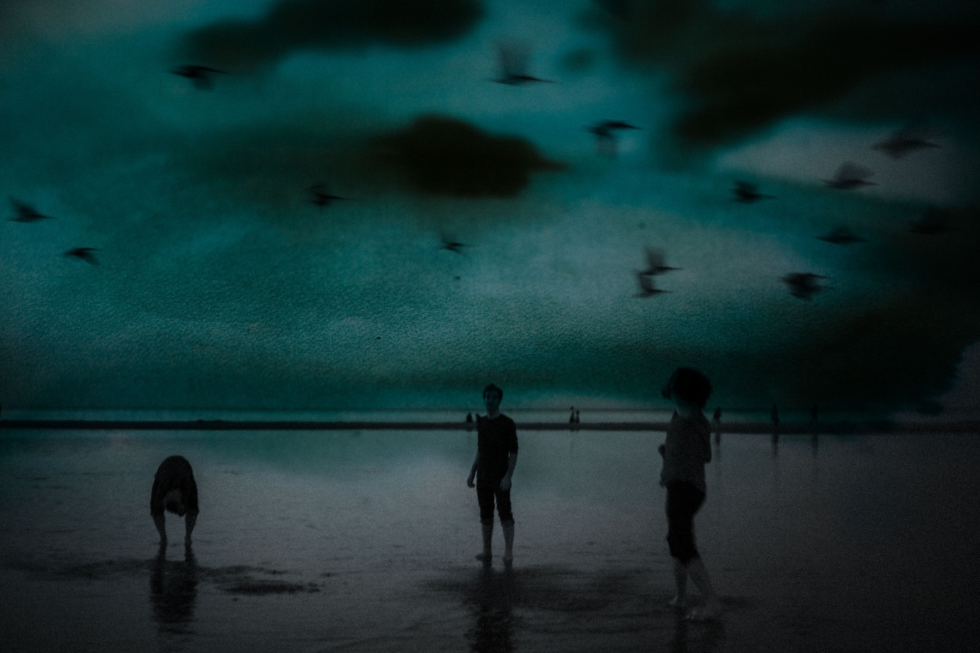 Album Art, Promo Poster, Photography, Website, & T-shirt for Sedgewick