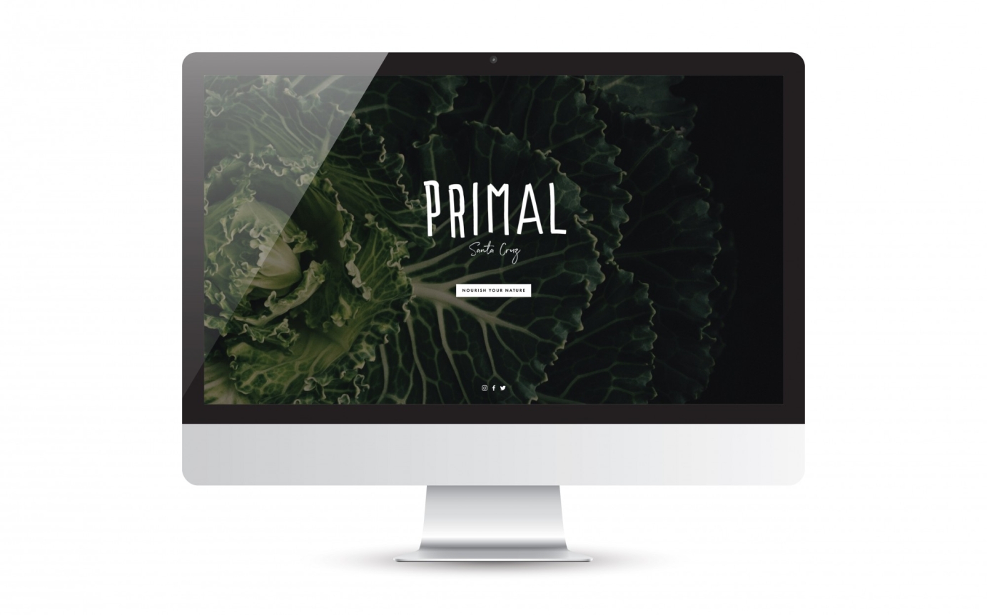 Logo, Branding, Website, & Merch for Primal Santa Cruz