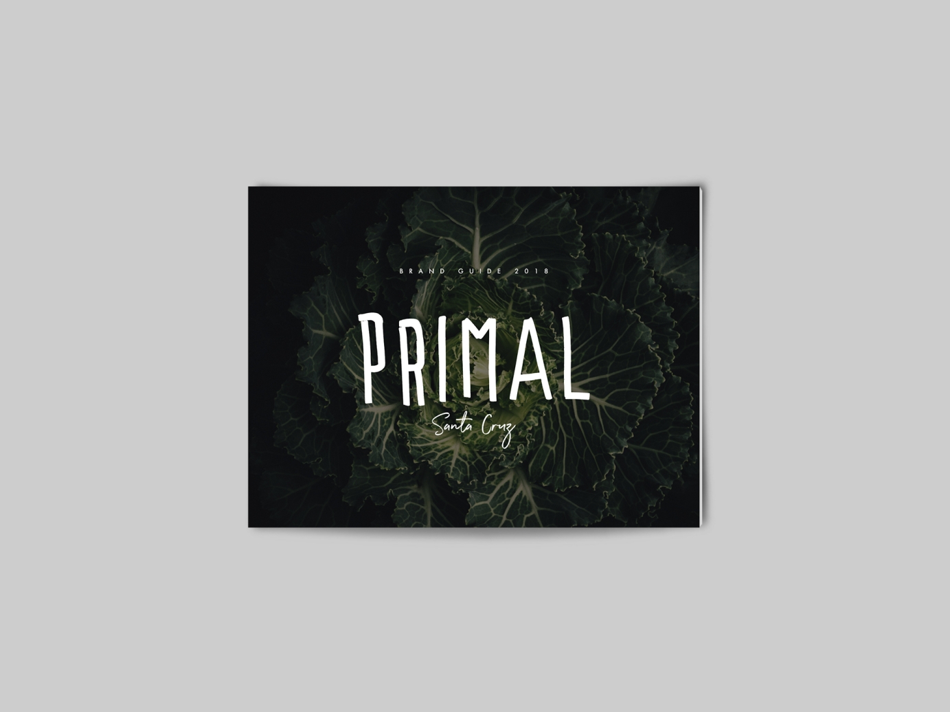 Logo, Branding, Website, & Merch for Primal Santa Cruz