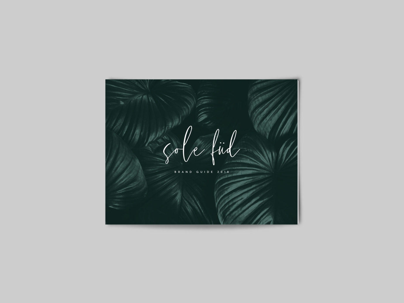 Logo & Branding for Sole Füd