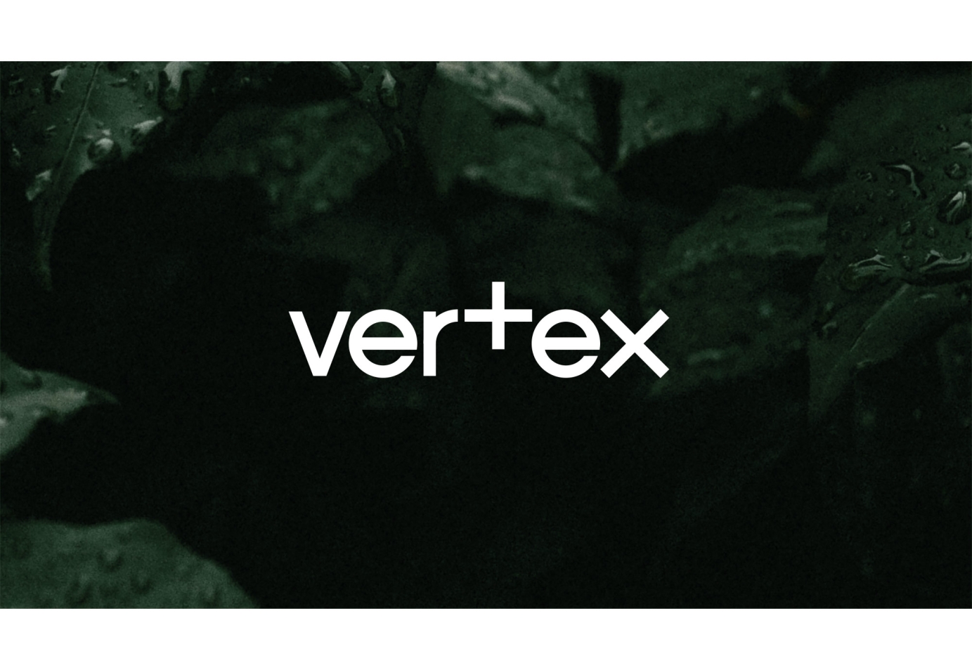 Logo design for labels and artists