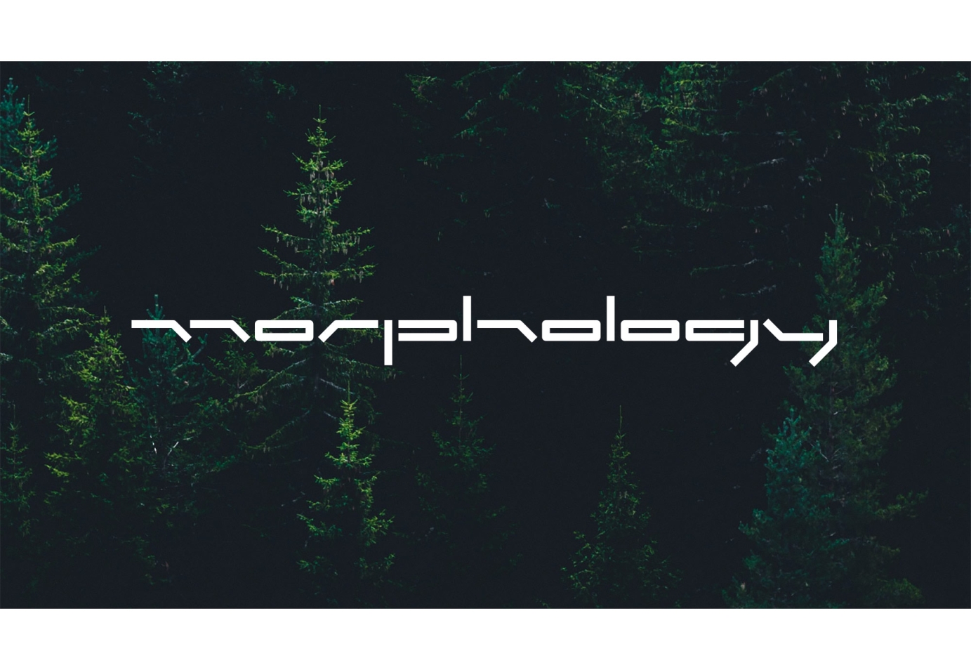 Logo design for labels and artists