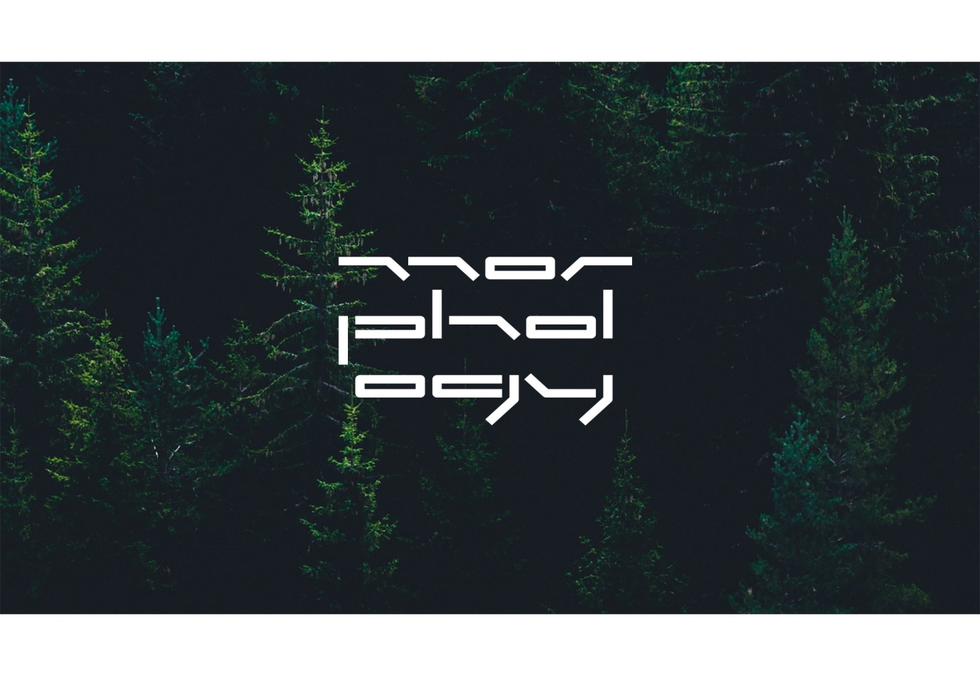 Logo design for labels and artists