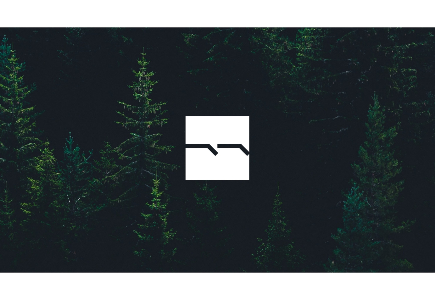 Logo design for labels and artists