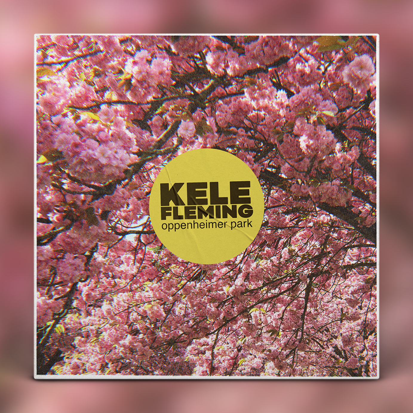 Kele Fleming - Oppenheimer Park