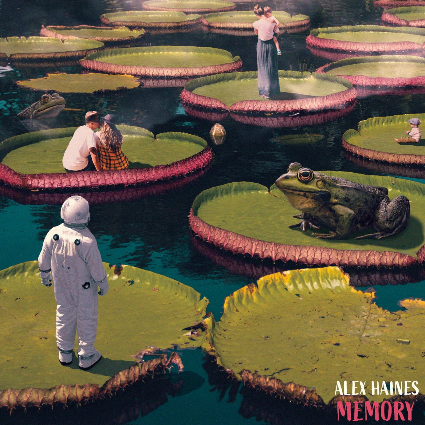 Artwork created for Alex Haines' EP "Memory'