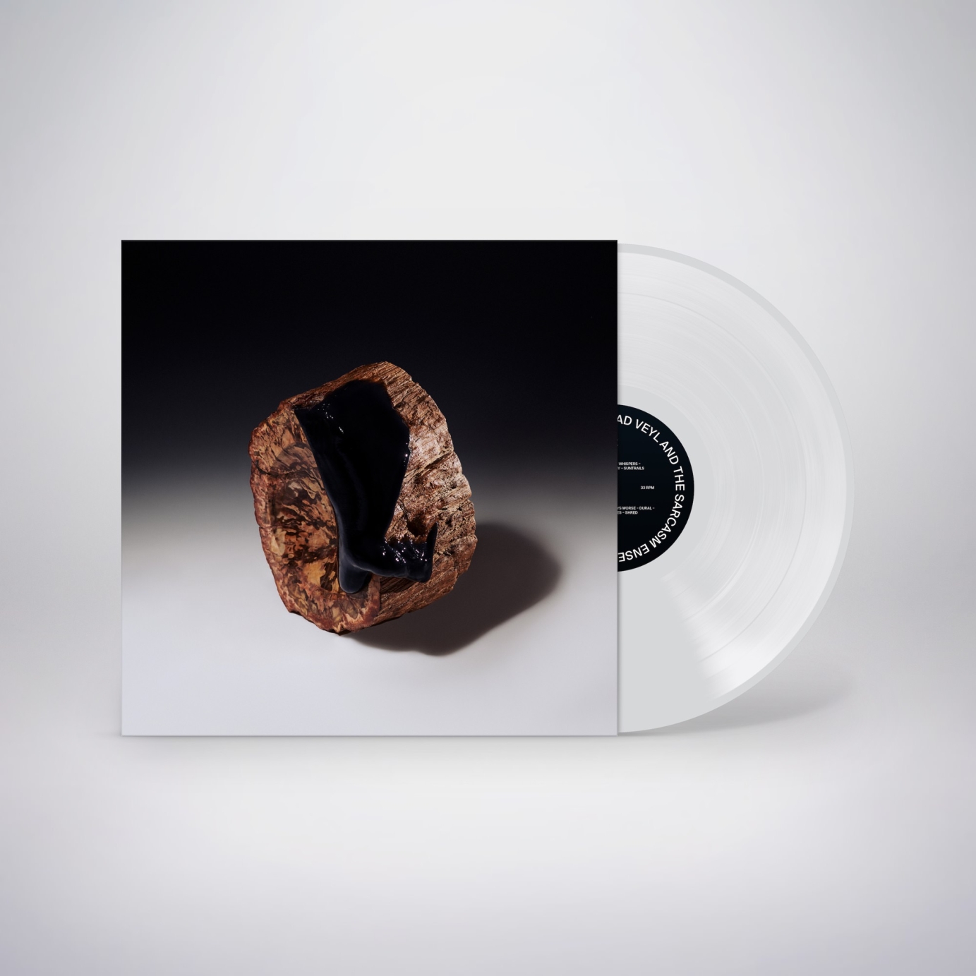 Mockup Maenad Veyl & The Sarcasm Ensemble LP "Comfort in Misery"