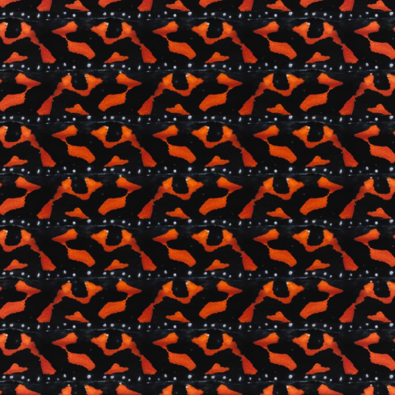 A repeat pattern derived from the bright orange spots of a poisonous frog - there are 8 rows of the pattern